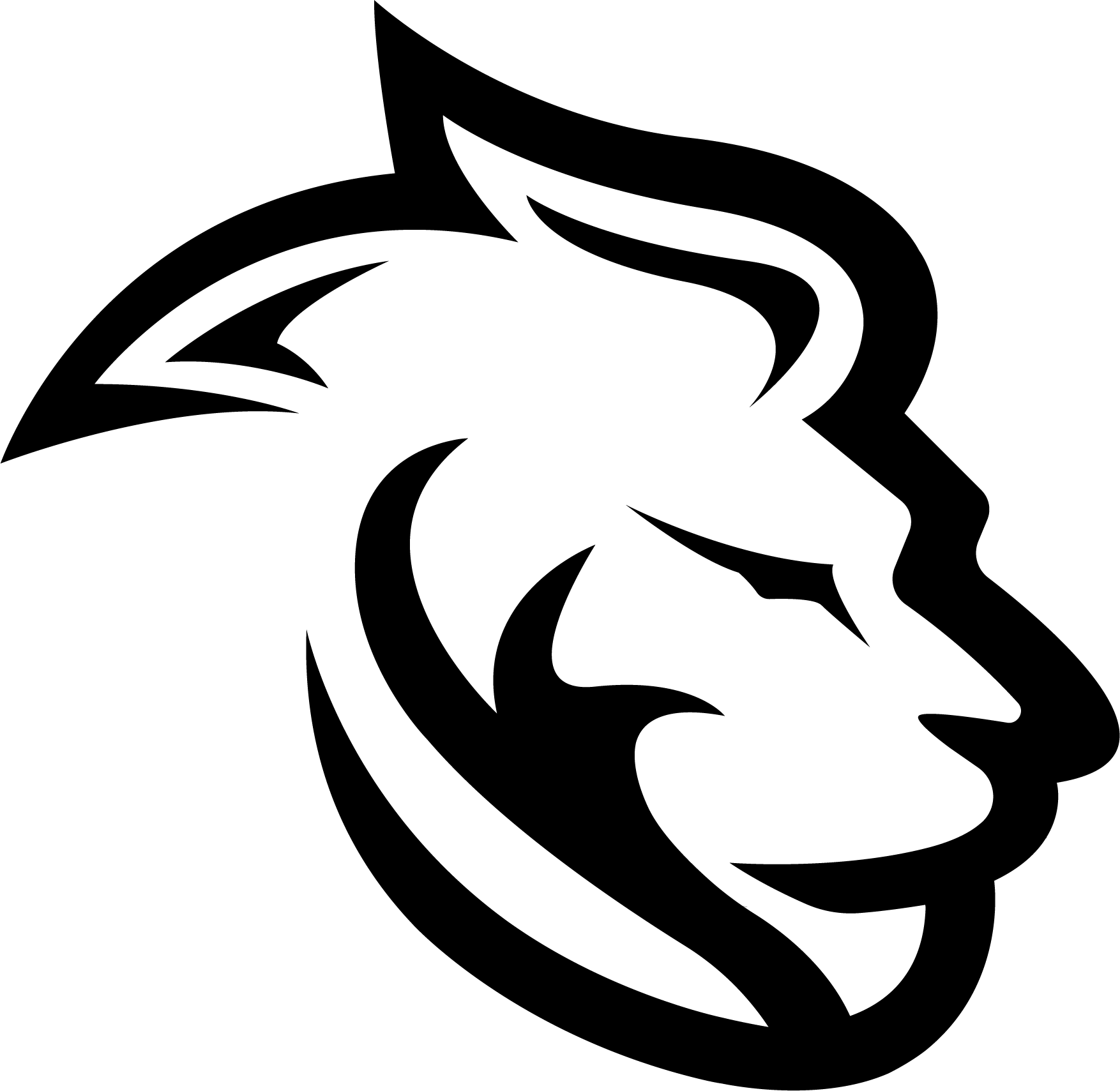 DDL